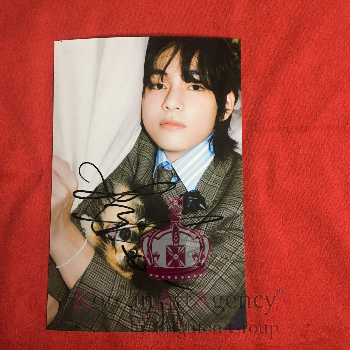 BTS V Kim Taehyung 2023 Layover 6inches Autograph