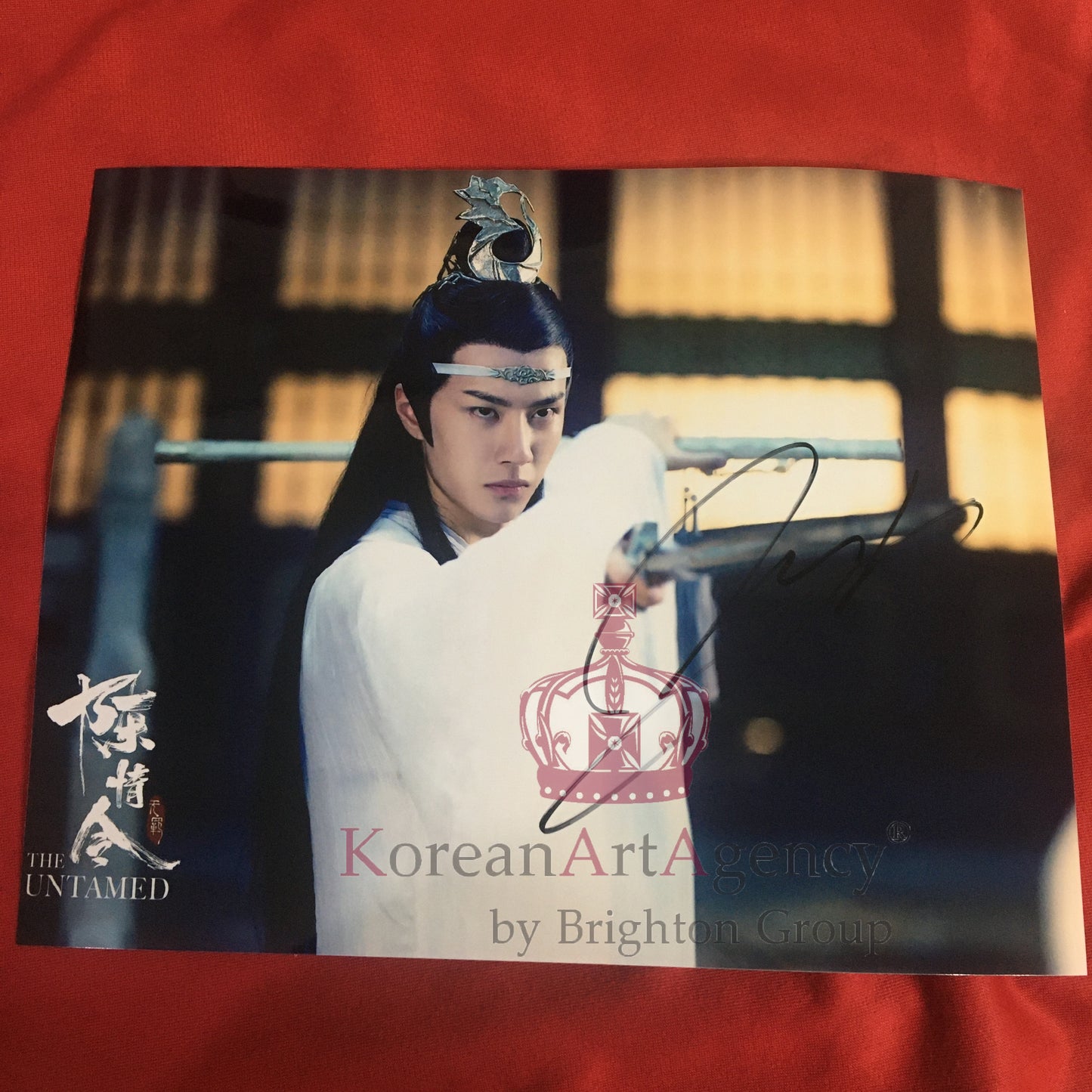 The Untamed Wang Yibo 10inches Autograph