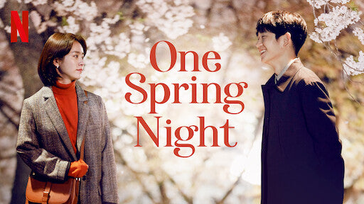 One Spring Night DVD English Subtitled Han Ji Min Jung Hae In Kim Joon Han