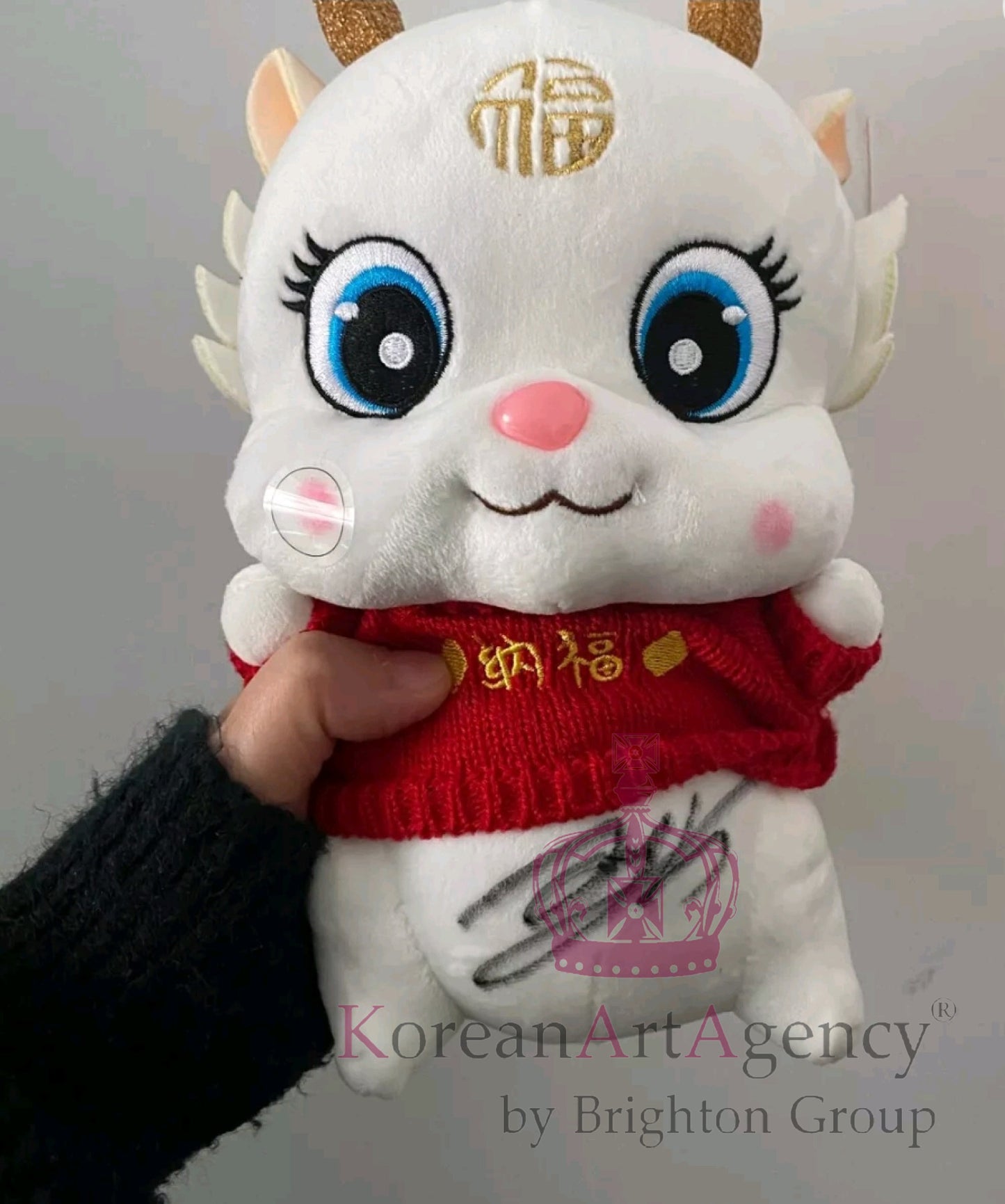 Dragon year soft plushy stuffed Xiao and Yibo Autographed