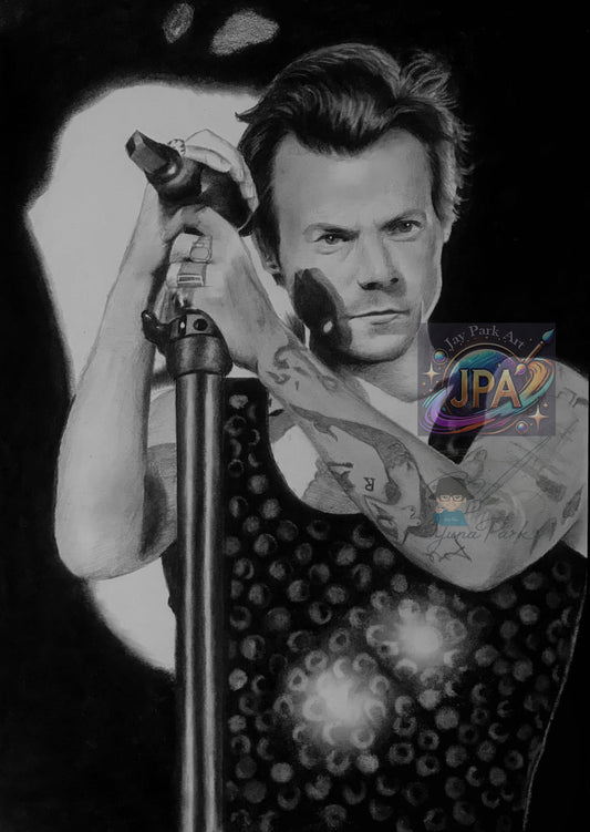 Harry Styles – A Pop Icon (24x32 cm)