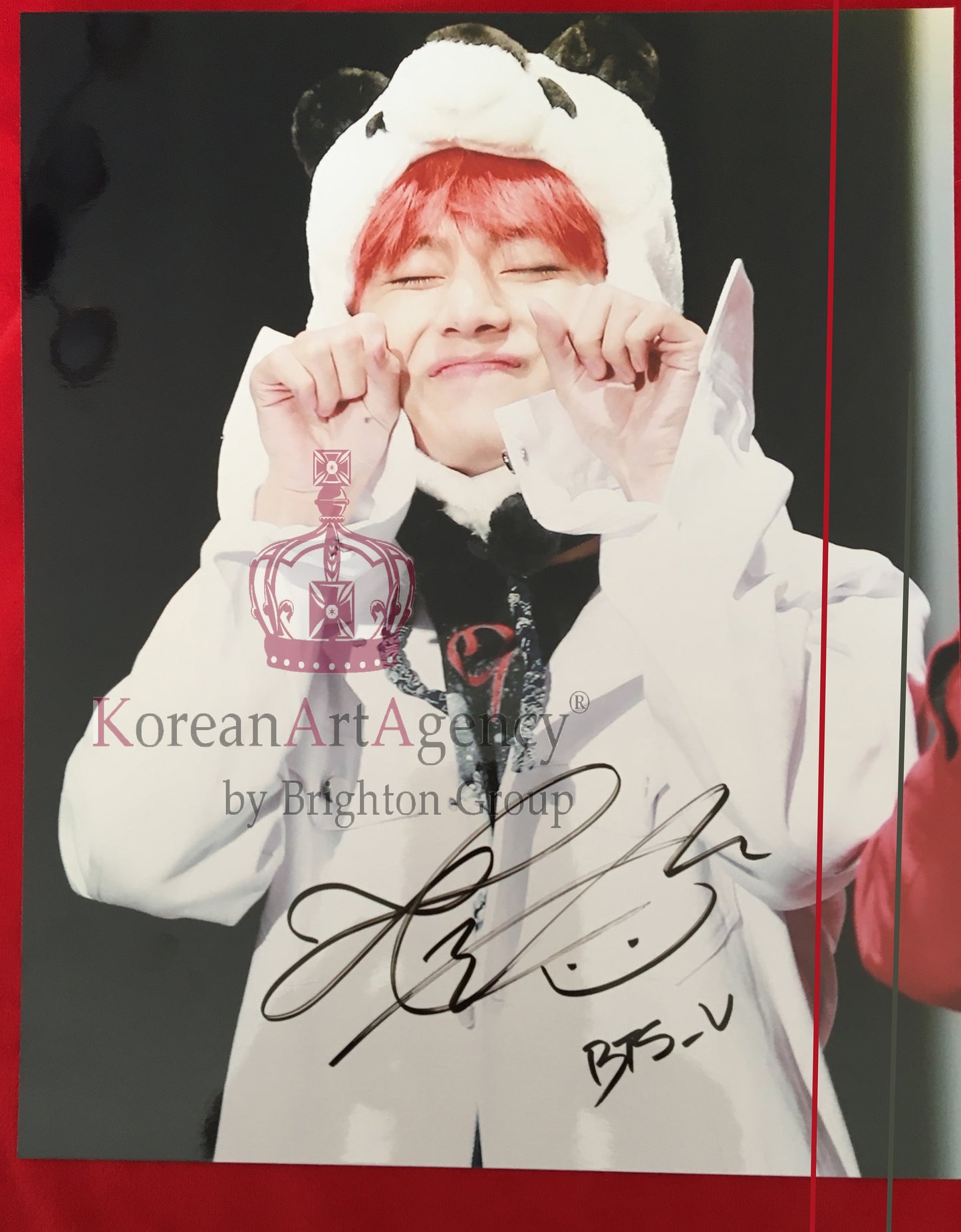 BTS V Kim Tae Hyung 30x26cm 10inches Autograph