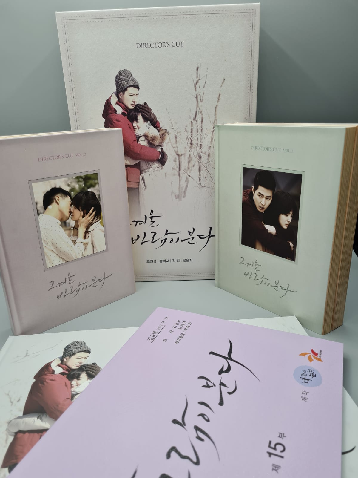 That Winter, The Wind Blows Korean Series  DVD 10disc Director's Cut English Subtitle Song Hye Kyo Jo In Sung