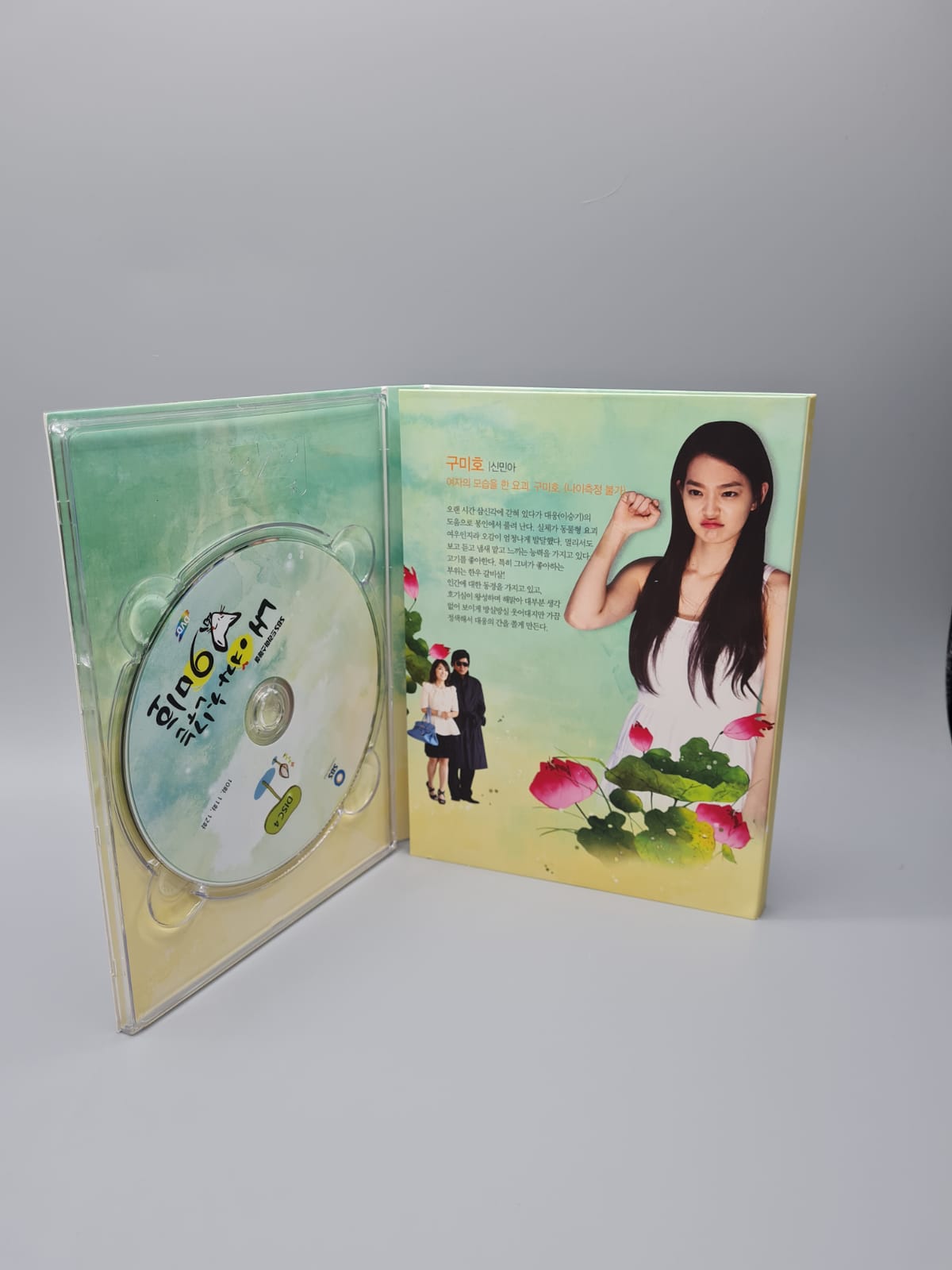 My Girlfriend is a Gumiho a.k.a My Girlfriend is a Nine-Tailed Fox DVD Korean Series