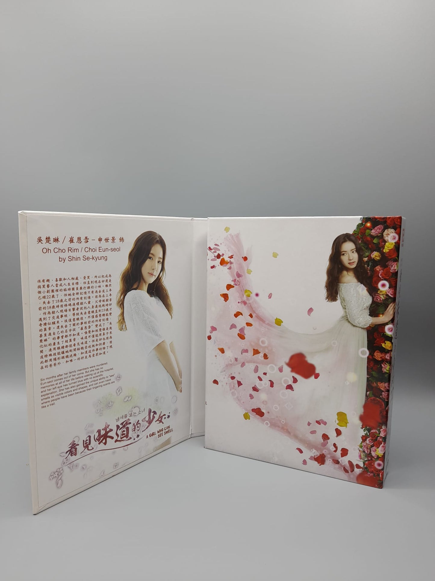 Region-Free 4-Disc Set - A Girl Who Sees Smells Korean Drama