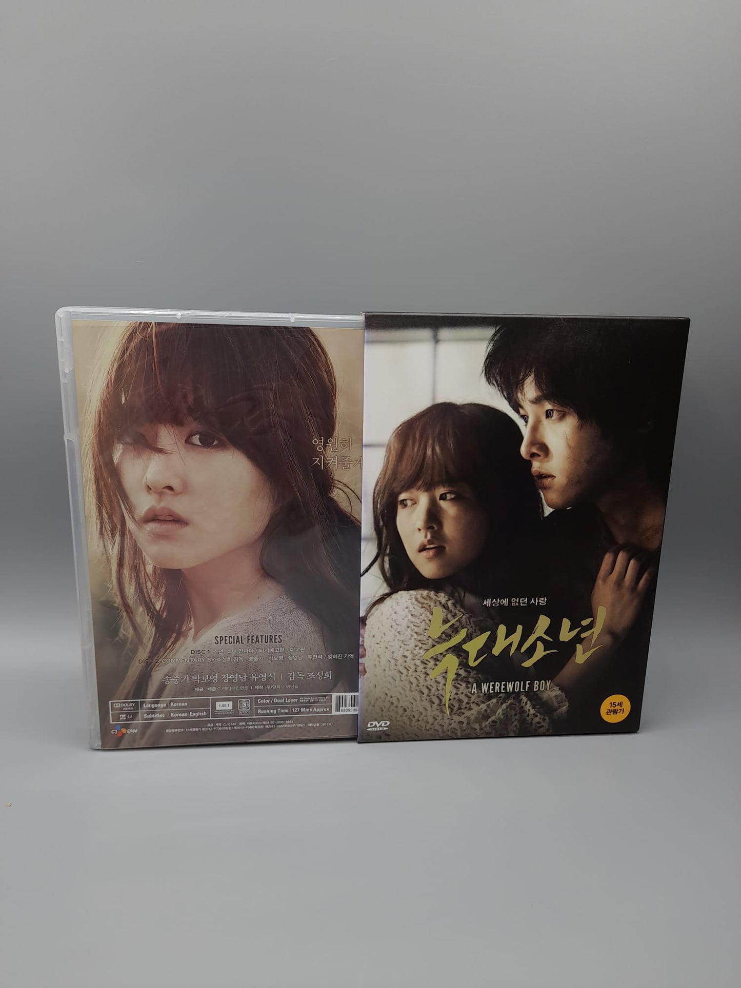 A Werewolf Boy DVD featuring Song Joong Ki and Park Bo Young