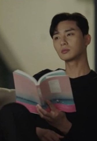 Every Moment Was You - Park Seo Joon Drama Essay