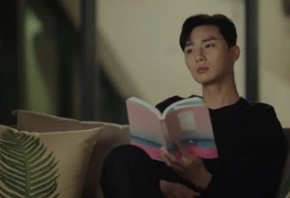 Every Moment Was You - Park Seo Joon Drama Essay